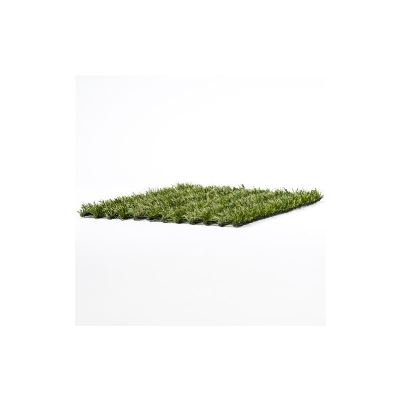 GreenHybrid Landscape hibridinė žolės danga GreenHybrid Landscape hibridinė žolės danga