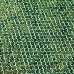 Apsauginis žolės tinkas – tvirtas pagrindas | Lauko erdvių dangos