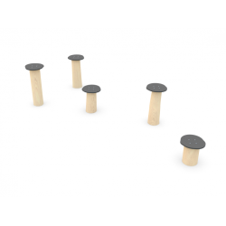 Žaidimų kompleksas Robinia 8115