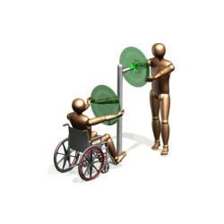 Tai Chi diskai dvigubi dideli |  Treniruokliai neįgaliesiems